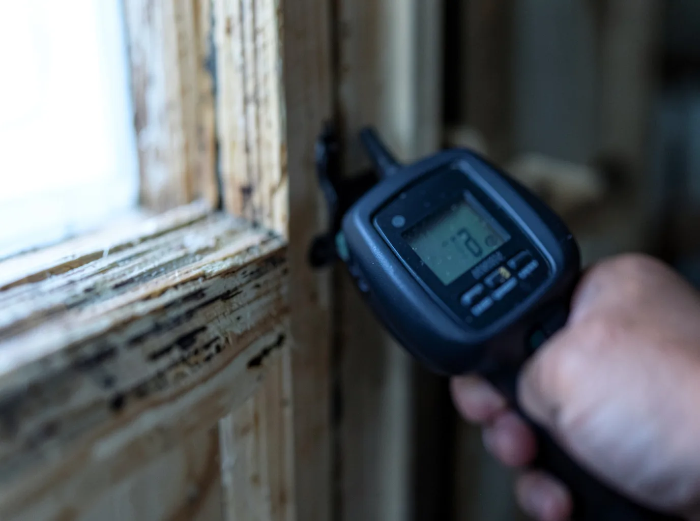 Commercial Water Damage Restoration in West Wardsboro, VT